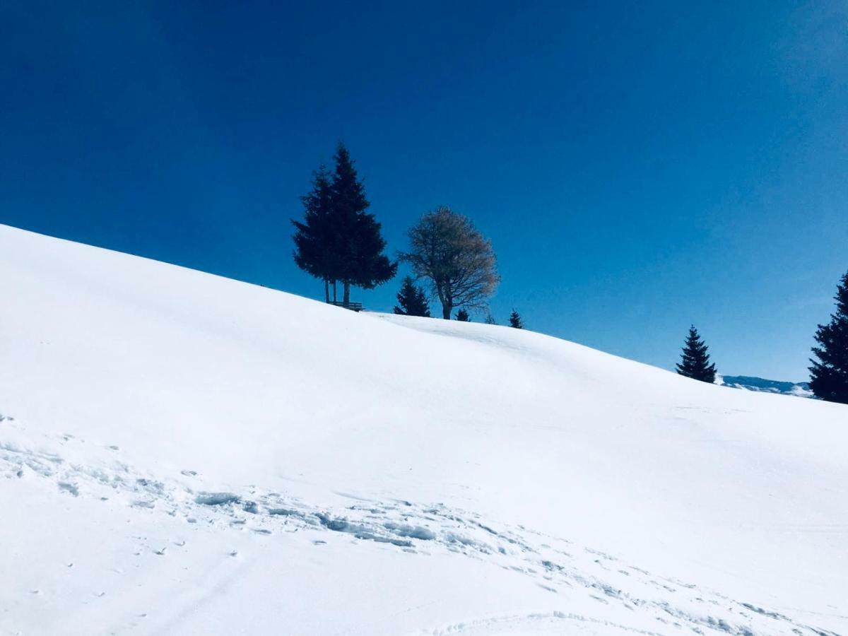 Haus Alpenrose Trins Exterior foto